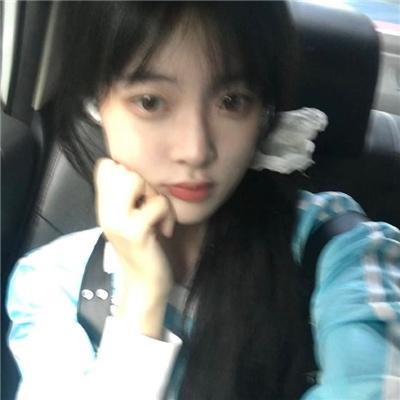 藏獒多吉 在线观看